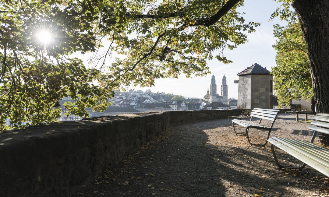 5 Orte für einen Heiratsantrag in Zürich | IRALIS